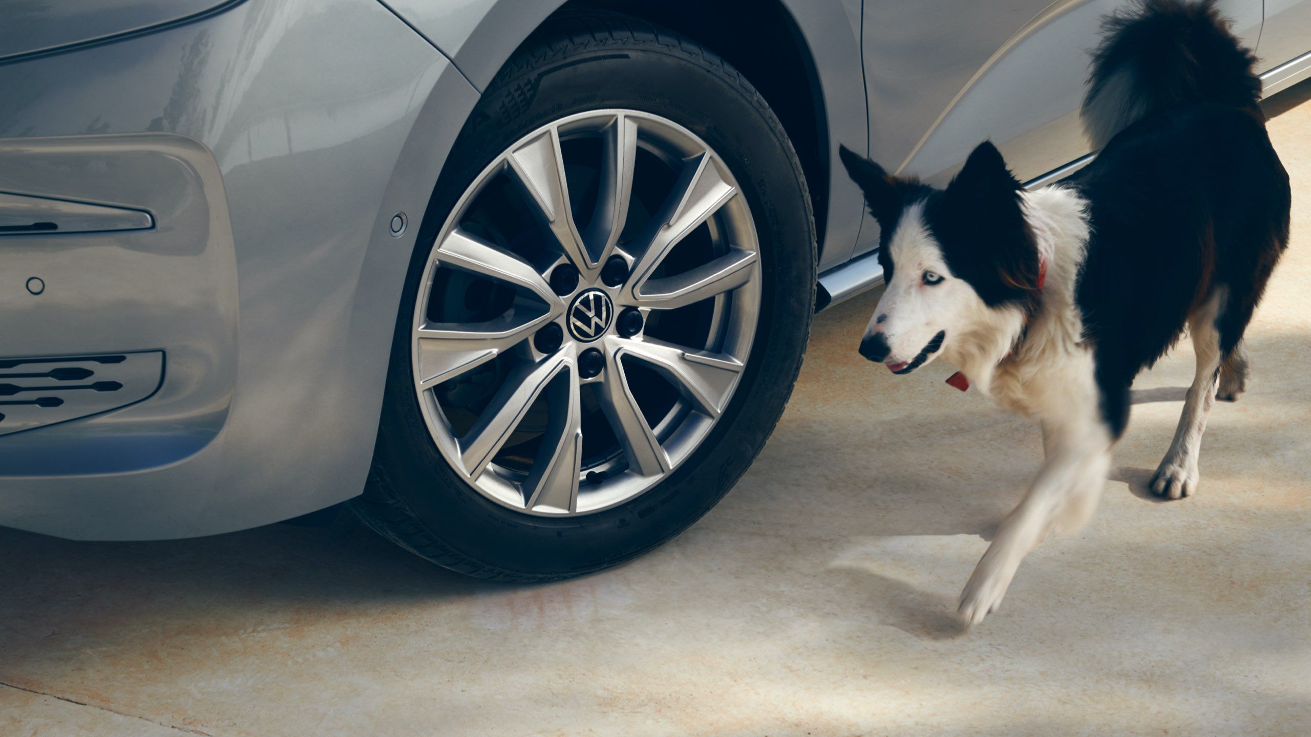 Ein Hund läuft neben dem Vorderrad des VW Multivan T7 2021.